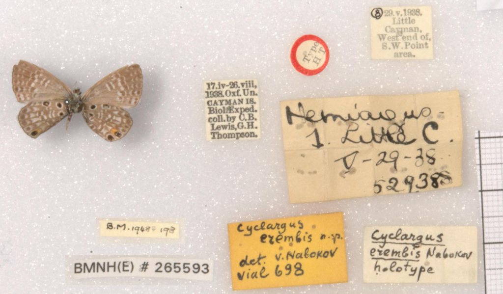 Valencia/Rectify/Film/Television/Literature